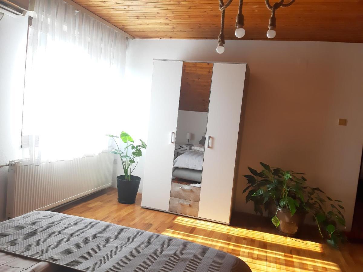 Apartman Ljiljan Nisz Zewnętrze zdjęcie